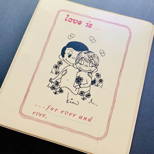RAR Vintage Love Is Kim Casali Mappe 1973 Sammlerstück Original *LESEN* - Bild 4 von 12