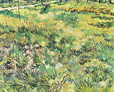 Meadow in the Garden of Saint-Paul Hospital by Vincent Van Gogh Repro on Canvas