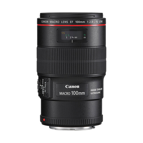 Canon EF 100mm f/2.8L Macro IS USM Lens 13803108620| eBay