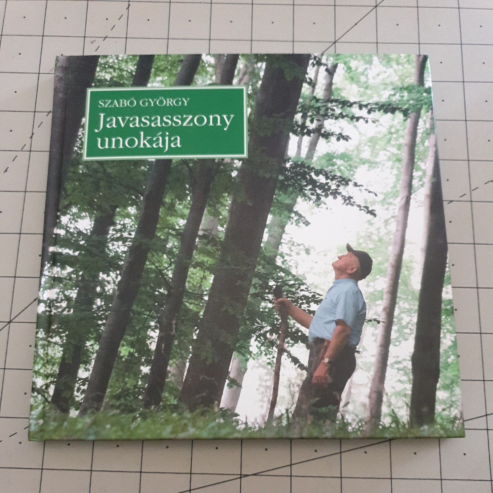 The Grandson of A Good Woman Szabo Gyorgy Hungarian Hardback Book