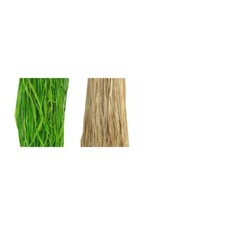 Adult Hula Skirt Various Colors New Priced Each