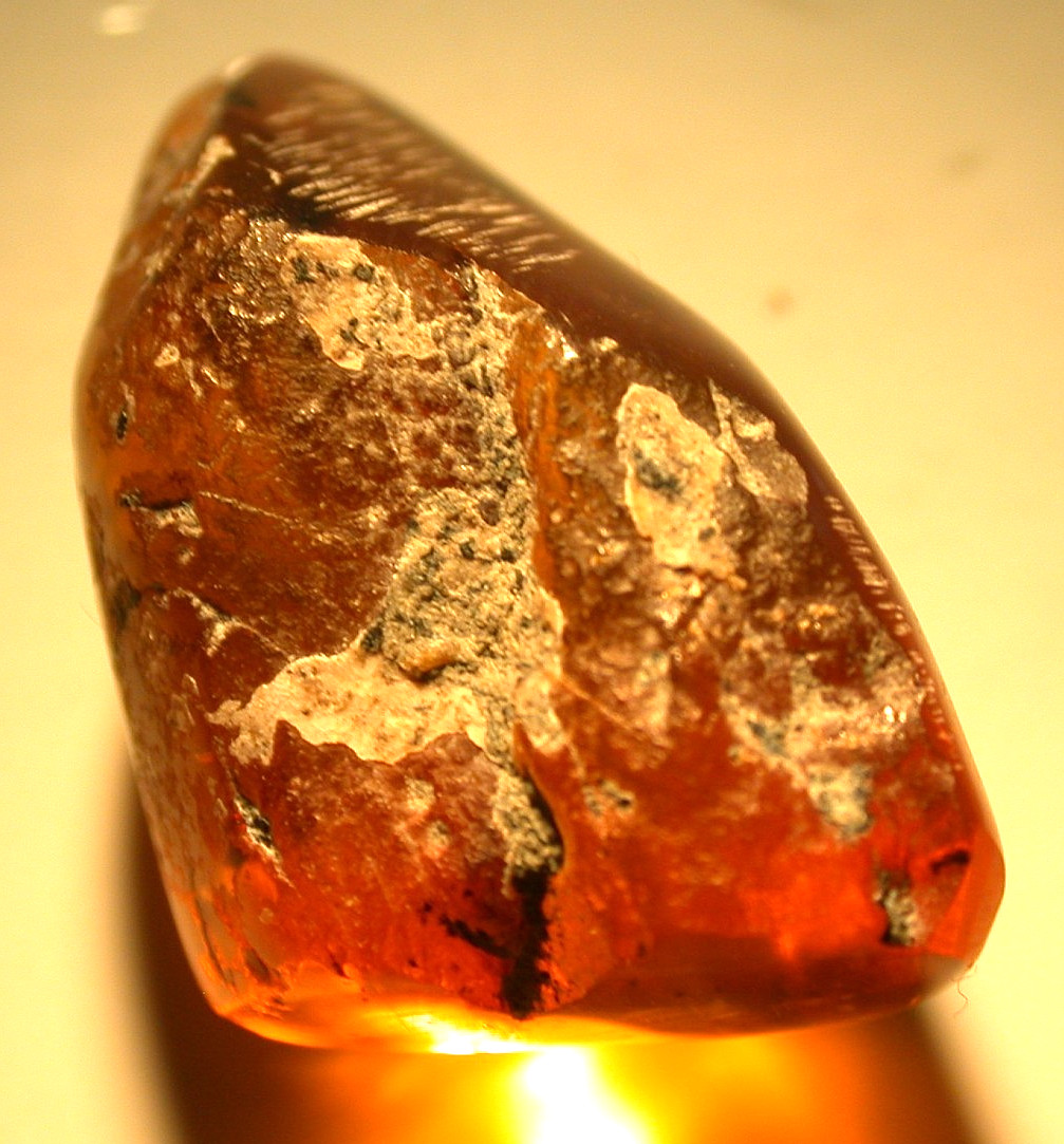 2 Mites with Wasp in Burmese Burmite Amber Fossil from Dinosaur Age