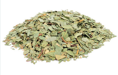 Eucalyptus Leaf Herb 1 oz   Organic Cut & Sifted | Respiratory Support