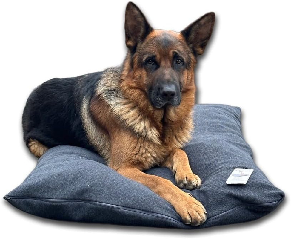 Cuccia Luxury per Cani Interno: Cuscino Sfoderabile e Super Imbottito