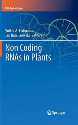Non Coding RNAs in Plants (RNA Technologies) by VolkerA Erdmann