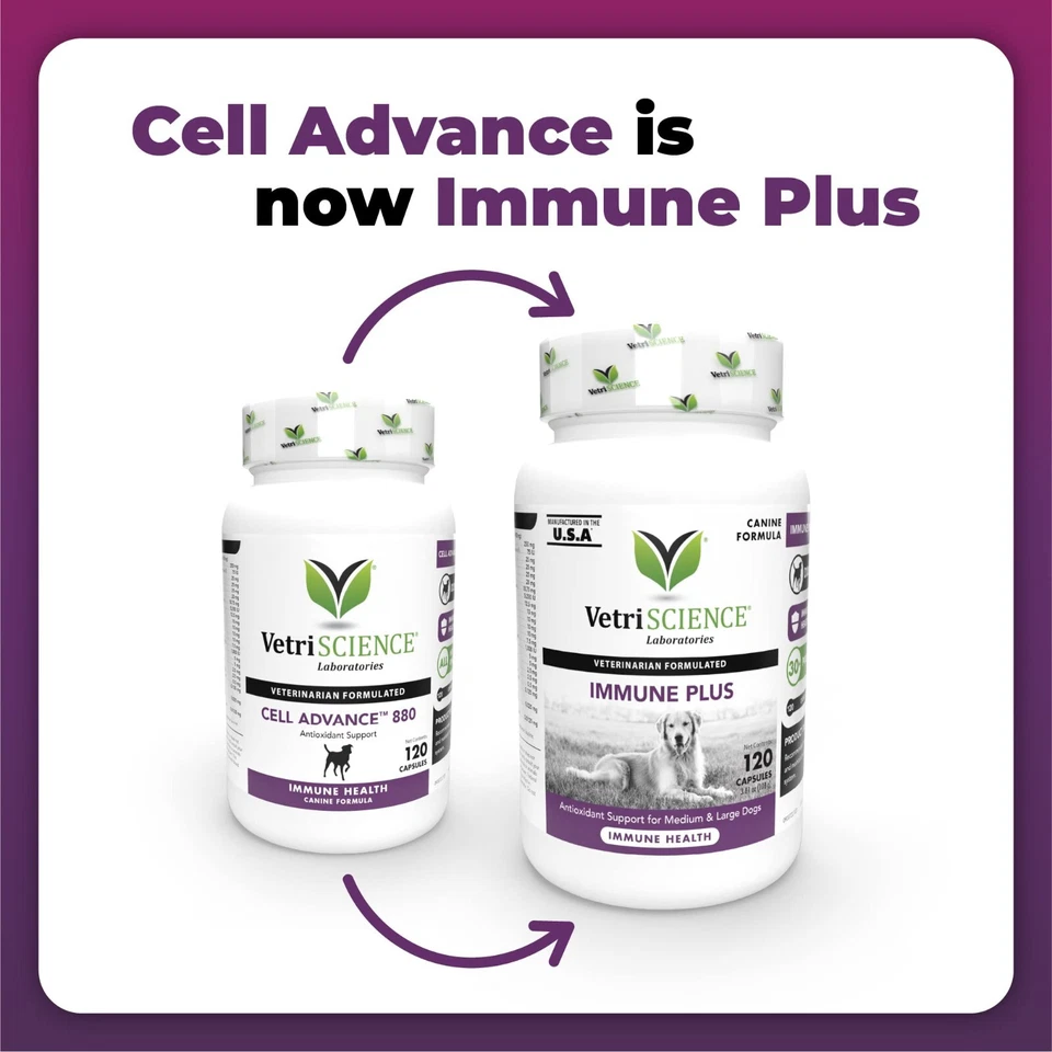 VETRISCIENCE Laboratories - Cell Advance 880, Immune Health Supplement for Dogs  - Image 2 of 4