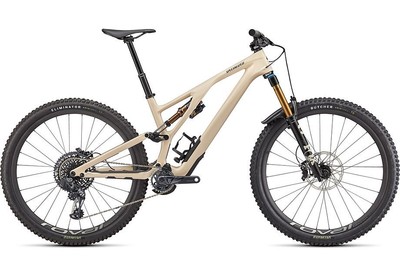 Specialized Stumpjumper Evo Pro  Gloss Sand / Black S1