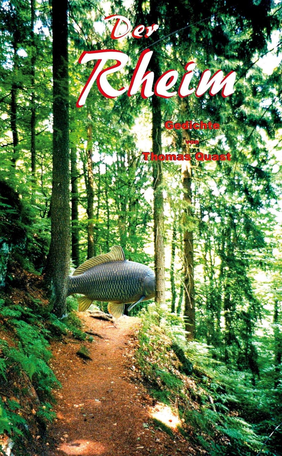 Der Rheim | Buch | 9783347243293