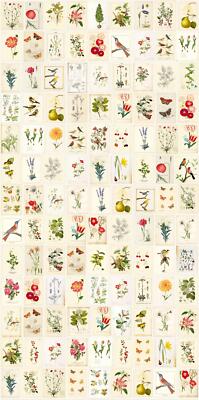 Eijffinger Tapete 341086 Pip Studio 3 Wandpaneele rot bunt Blumen Blüten Vlies