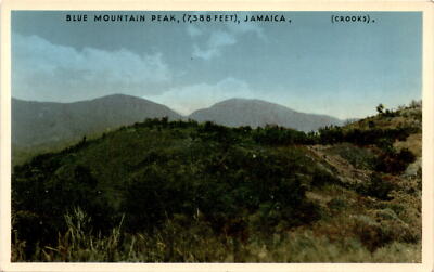 BLUE MOUNTAIN PEAK, JAMAICA, Ivor Levy's Drug Store, Montego Postcard