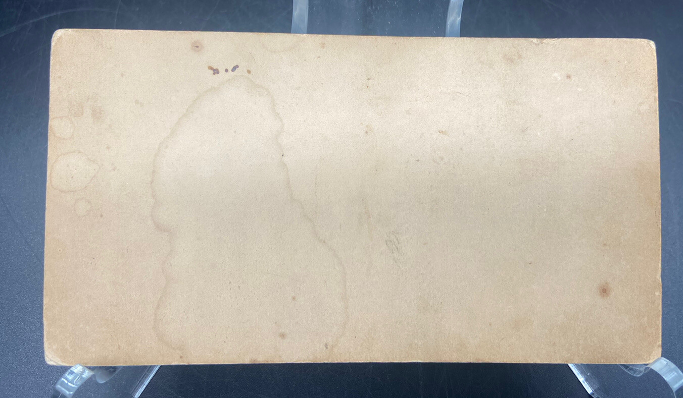 White Sulphur Spring Hotel and Cottages, Chittenango, New York B.P