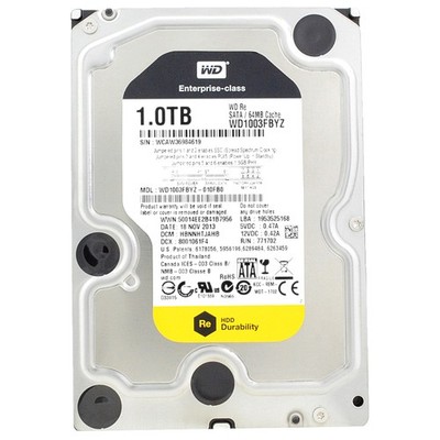 Western Digital RE 1TB WD1003FBYZ 7200Rpm 64Mb Cache Sata III 3.5'' Zoll