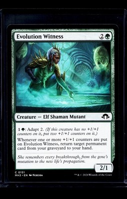2024 MTG Magic The Gathering MH3 Modern Horizons 3 #151 Evolution Witness