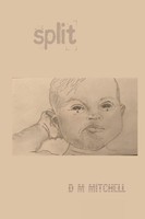 Split ! D M Mitchell Taschenbuch Kartoniert / Broschiert Englisch 2022 [.]