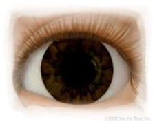 REBORN DOLLS Half Round Real Eyes 18mm Chocolate Brown  REBORN DOLL SUPPLIES