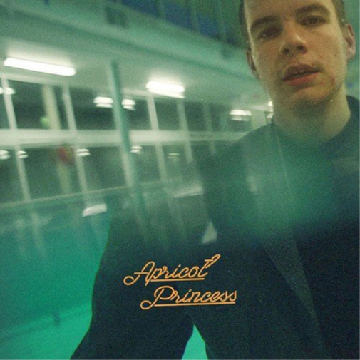 Rex Orange County Apricot Princess (Vinyl LP) 12" Album
