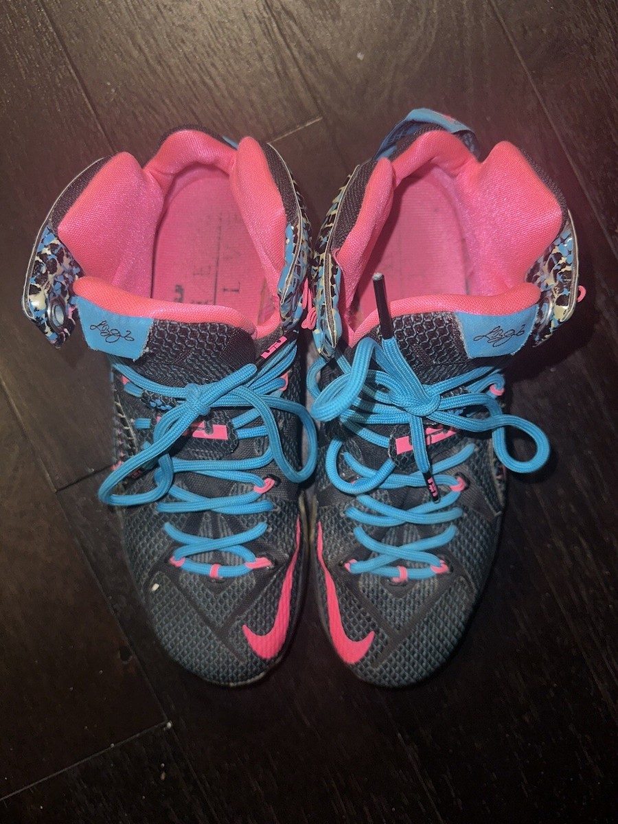 lebron 12 pink and blue