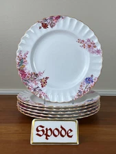 6 Spode CHELSEA GARDEN 8” Salad Plates : EUC