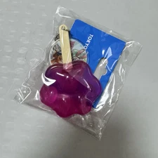 Disneyland Zootopia Nick Judy Candy Popsicle Keyring