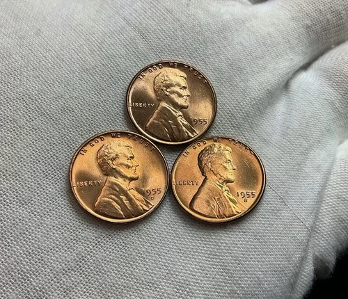 Choice Unc 1955 P D S Lincoln Wheat Cent BU Collection Lot Set P334