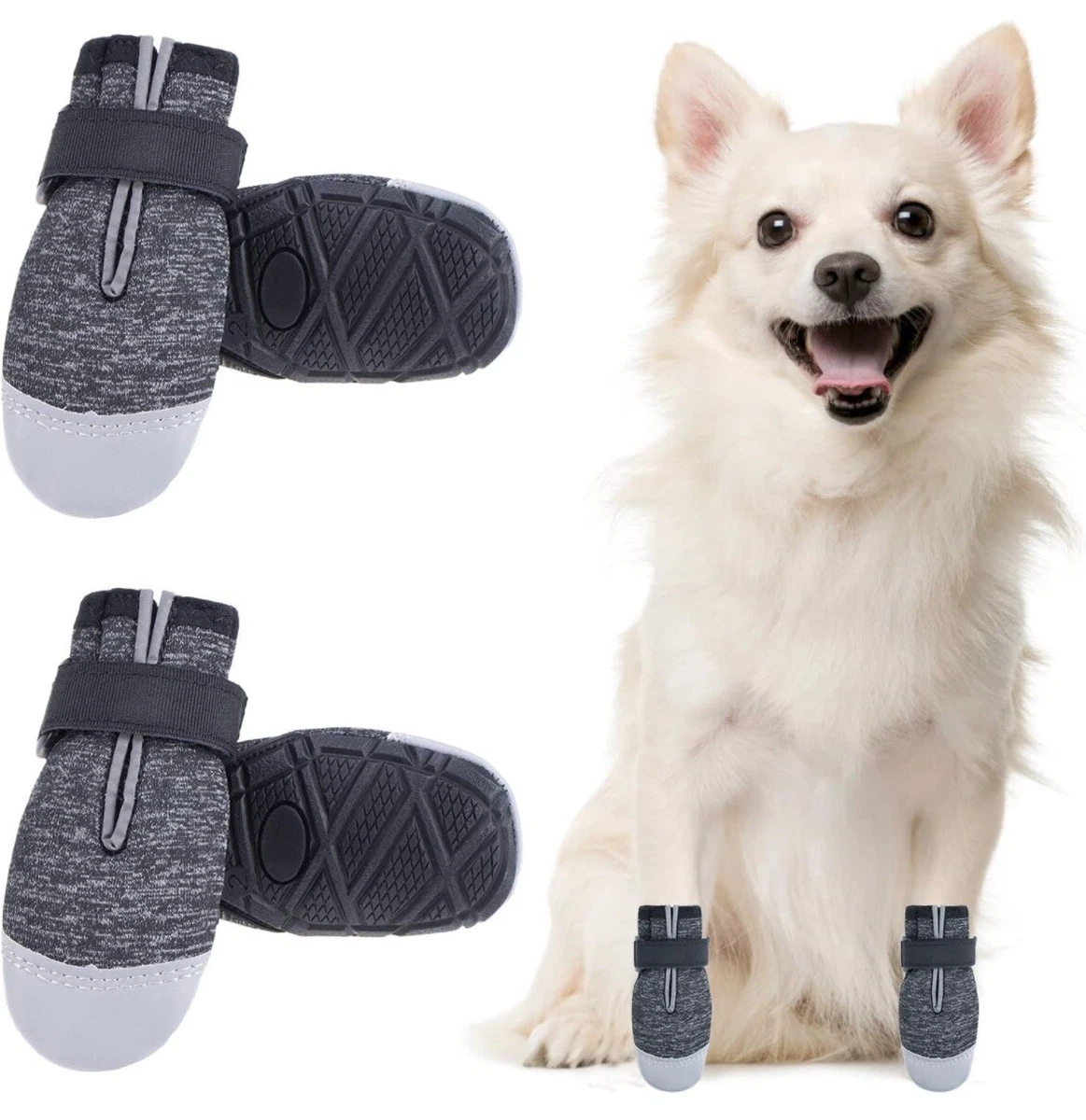 What Size Shoe Does My Dog Wear