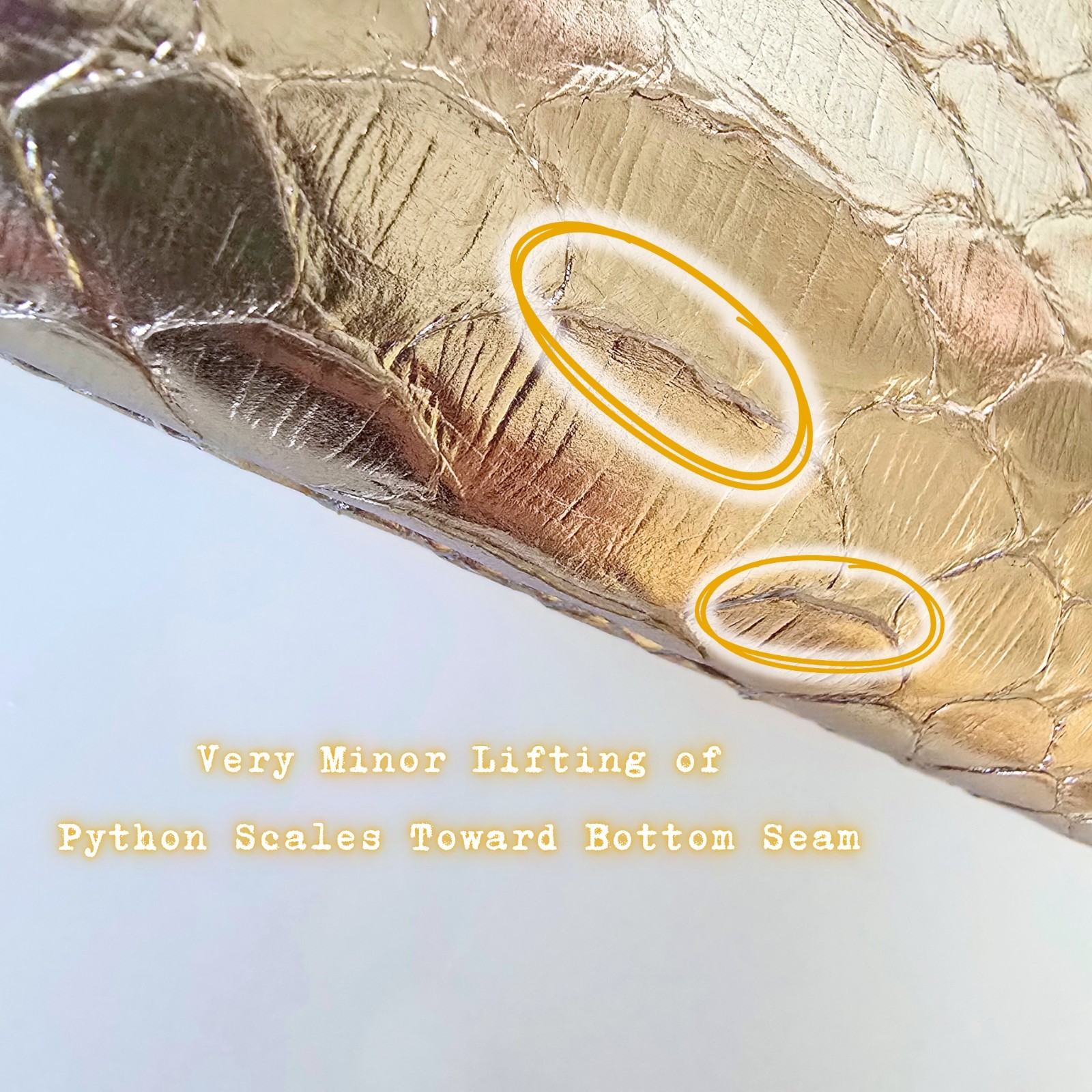 Gucci Tom Ford Era Limited Edition Python Dragon … - image 11