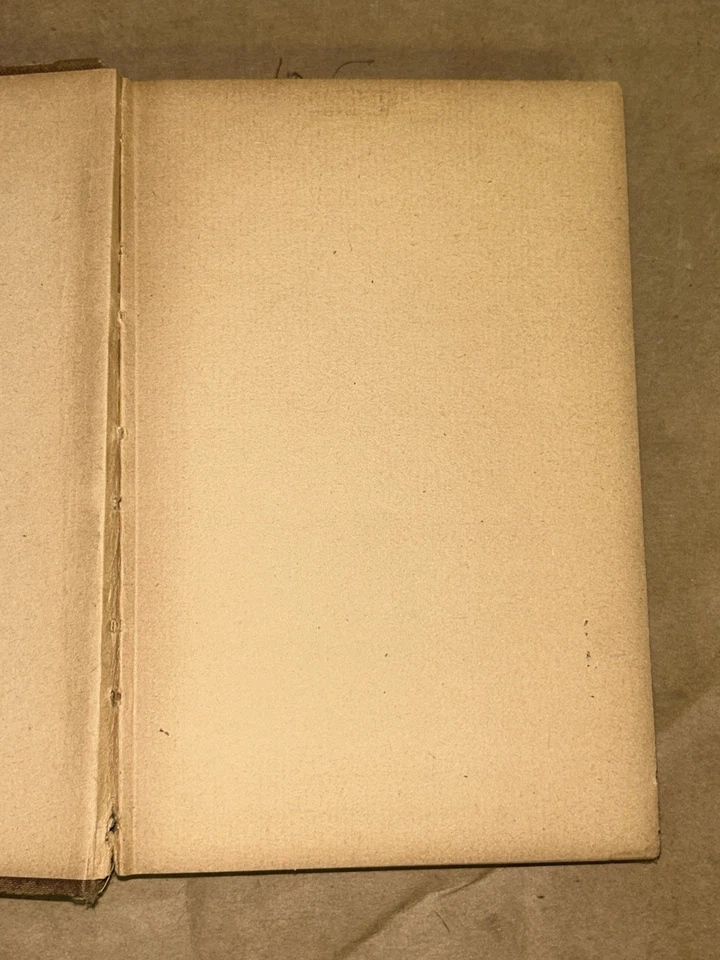 1884 The Polish Jew by Erckmann-Chatrian Translated By Caroline Merighi - Image 4 of 4