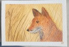 Original ACEO Signed Fox in Tall Grass Watercolor — photo 3