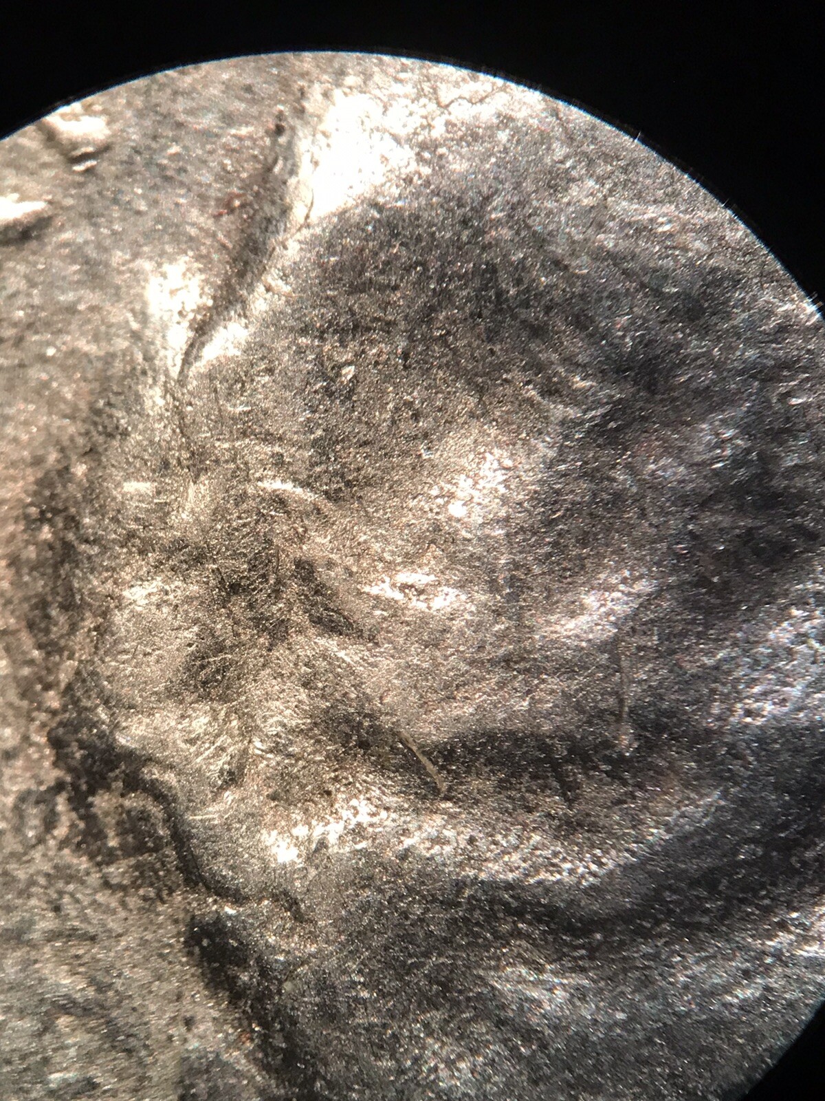 Picture 5 of 5