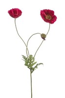 Artplants Kunst Zweig Mohnblume Schunra, Pink, 75Cm