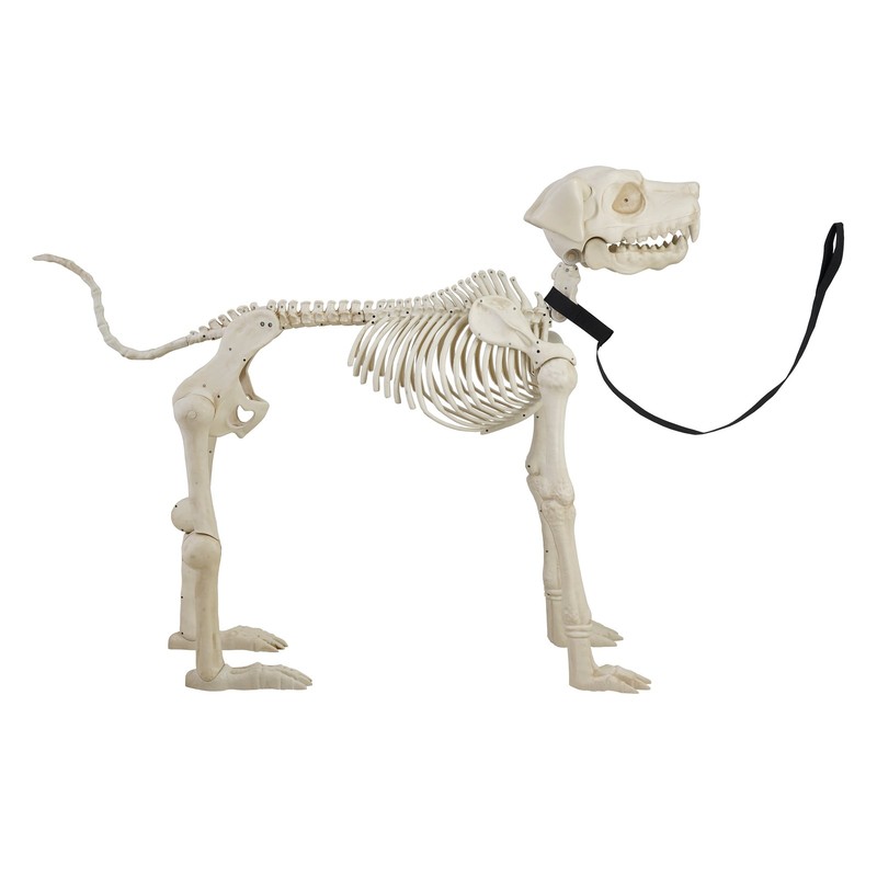 Animated Skeleton Dog Halloween Decoration, Beige, 60 In