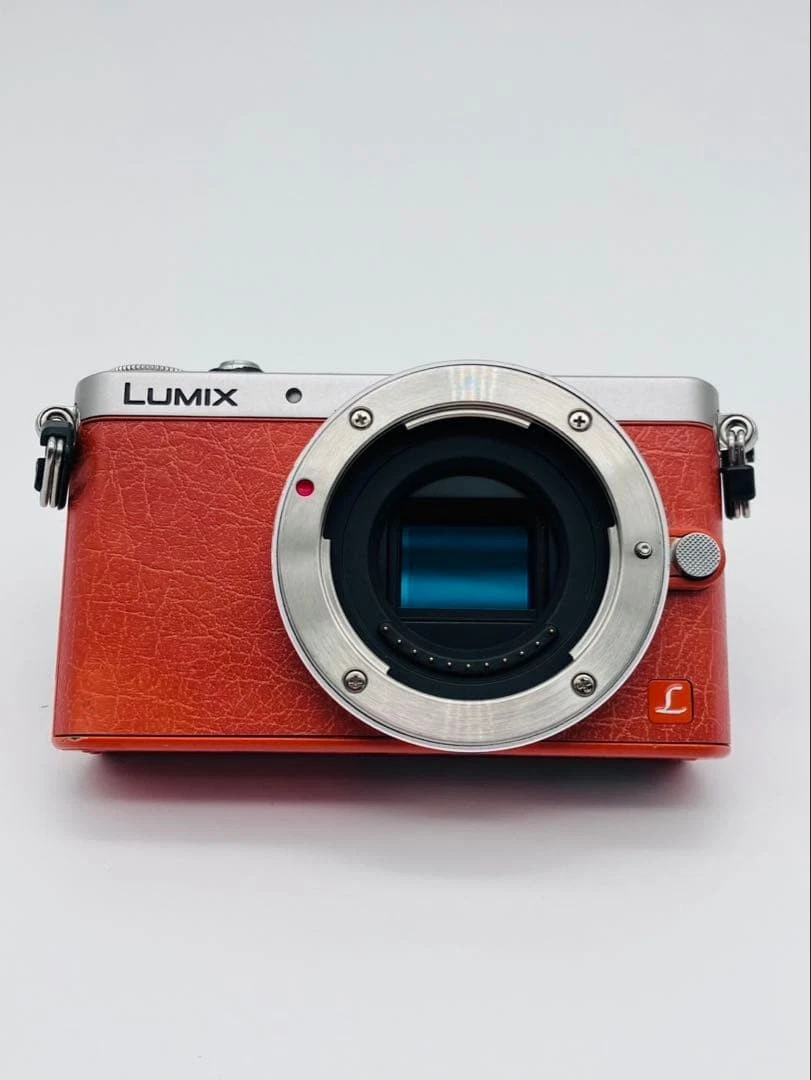 Panasonic LUMIX GM1 Digital Cameras for Sale | Shop New & Used