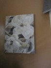 Bild 8 von 13