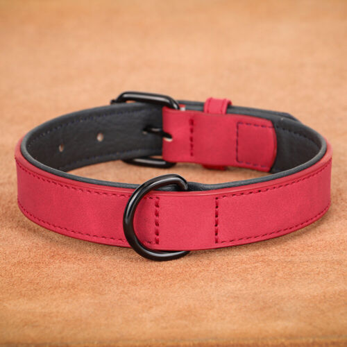 Collar de perro de cuero acolchado suave ajustable para perros pequeños medianos grandes Bulldog - Imagen 4 de 26
