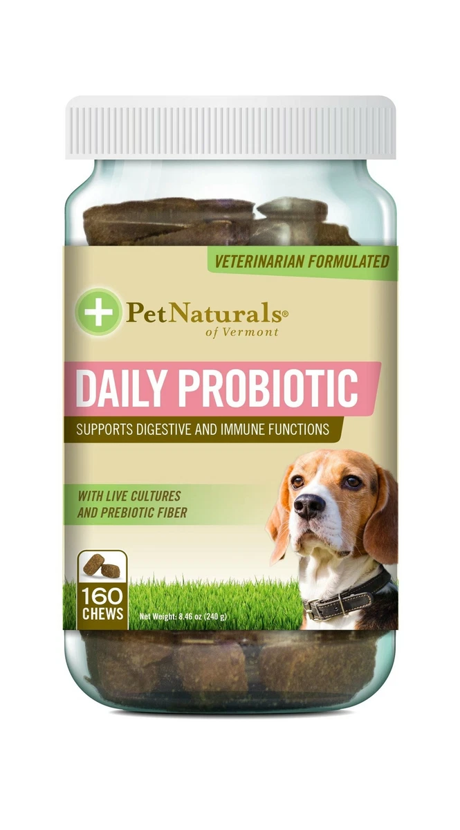 Can You Give Dogs Probiotics Everyday