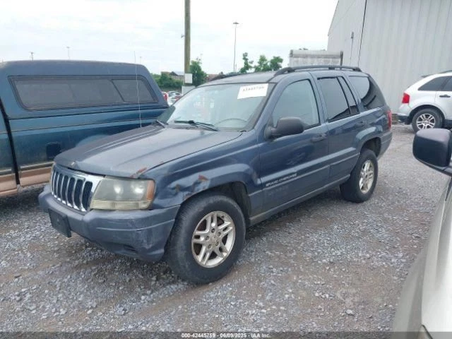 Trunk/Hatch/Tailgate Privacy Tint Glass Fits 99-04 GRAND CHEROKEE 4896016 - Image 3 of 4