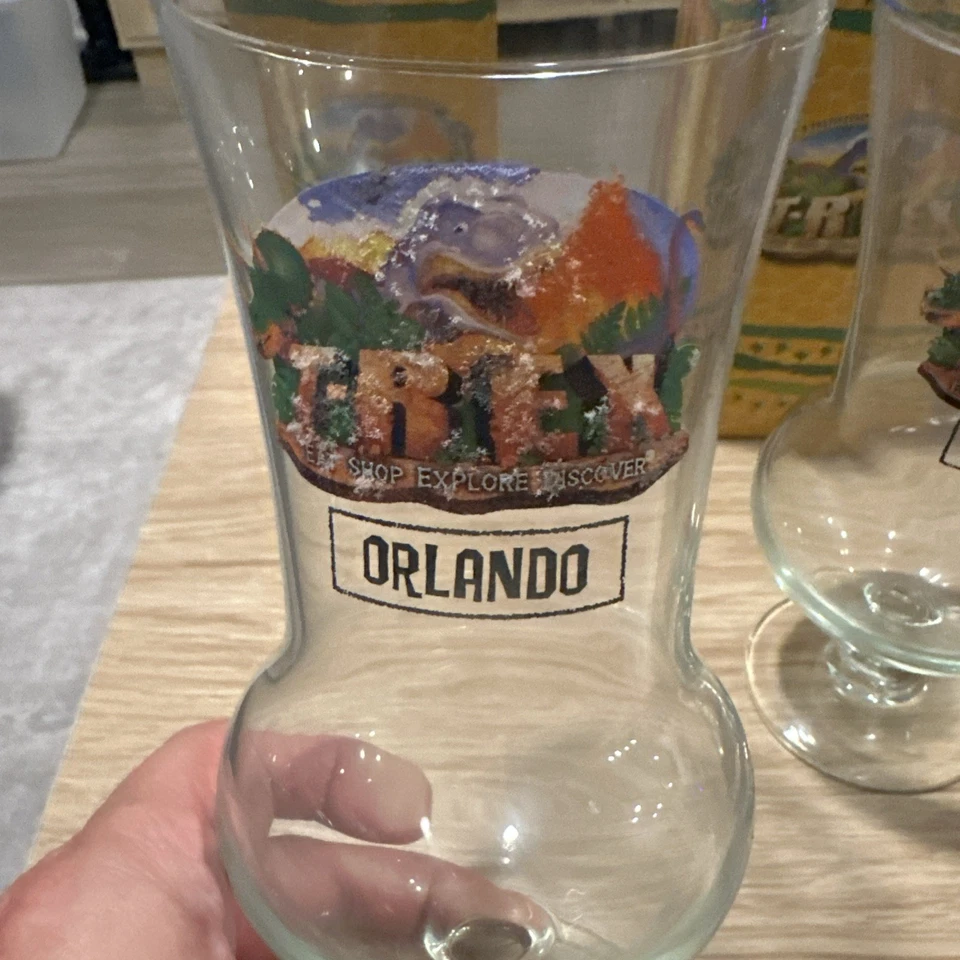 Juego de 2 gafas T-Rex Eat Shop Explore Discover Orlando Party Hurricane Foto 2 de 3