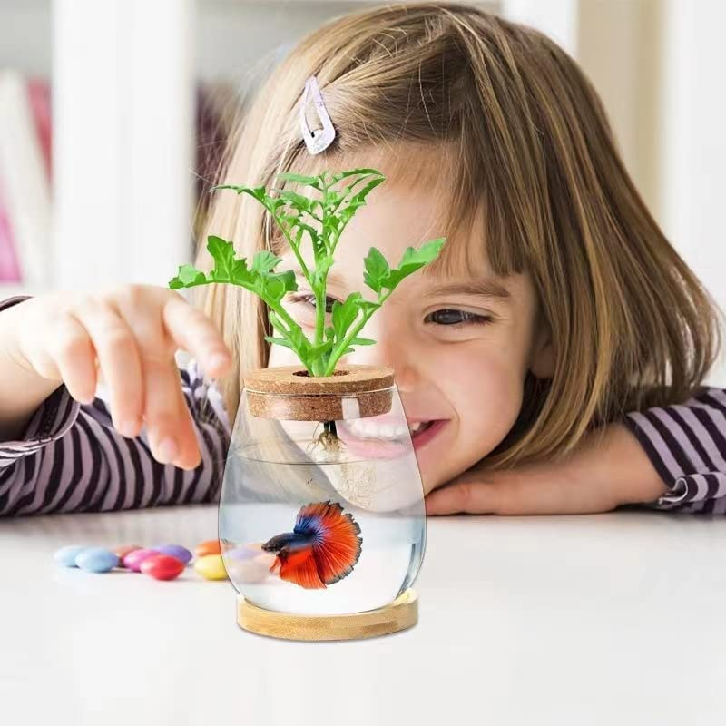 Desktop Fish Bowl Clear Glass Small Fish Tank with Wood Lid and Bamboo