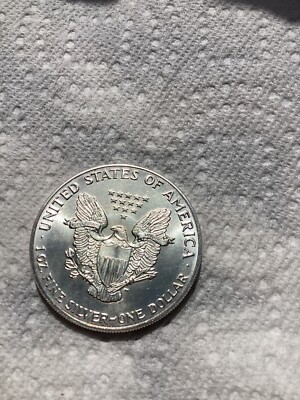 1987 Walking Liberty 1oz Silver Dollar No mint mark Uncirculated