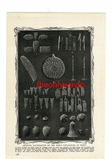 Articles Of Early Egyptian Civilisation, Book Illustration (Print), c1907