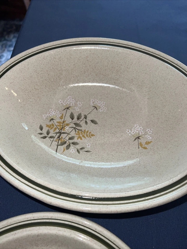 Royal Doulton Will O’ the Wisp 5 peças serviço de configuração de lugar para tigela vegetariana 4 Plus - Imagem 3 de 4