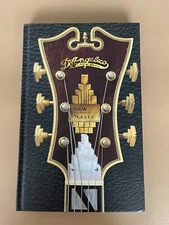 Guitar : The World's Most Seductive Instrument by David Schiller (2019)no Case