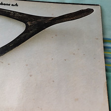 Wishbone Ash   Argus Vinyl-LP MCA Records Roc...