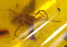 4 Burmese Amber Fossils with Variety of Fossil Inclusions from Dinosaur Age