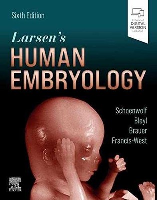 Larsen's Human Embryology - Paperback, by Schoenwolf PhD Gary C.; - Very Good