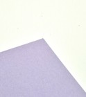 Foto 10 di 15