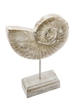 Aufsteller Mangoholz Ammonit Muschel Creme Weiß Gewischt Ca.16Cm H Maritime Deko