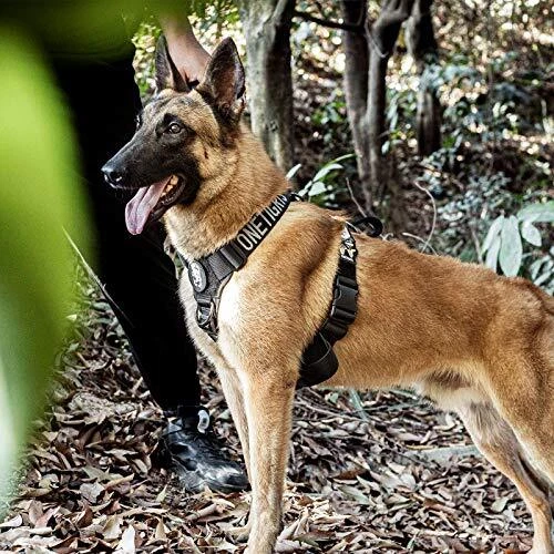 Dog Harness, No Pull Dog Harness, Lightweight Dog Harness Perfect for XL Black