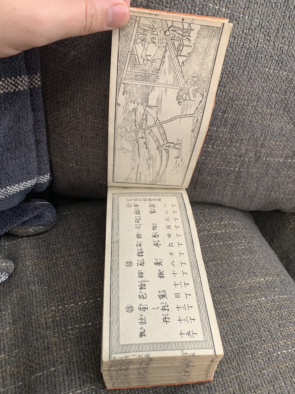 Picture 9 of 17