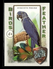 2021 Topps Allen & Ginter Birds of a Feather #BOF-6 Hyacinth Macaw H273